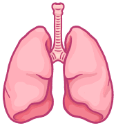 How to revise for GCSE Biology